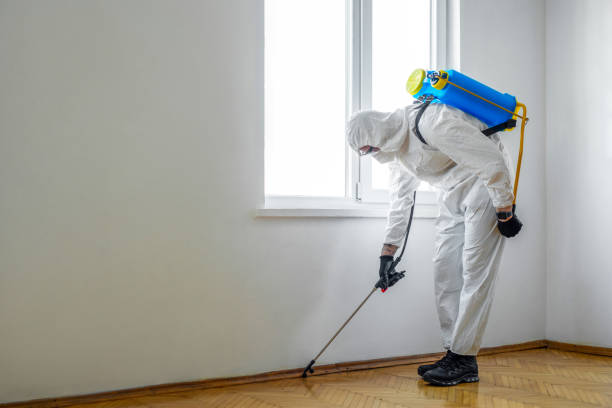 Real Estate Pest Inspections in Jamesburg, NJ